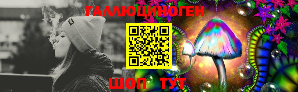 Галлюциногенные грибы Psilocybine cubensis Тверь